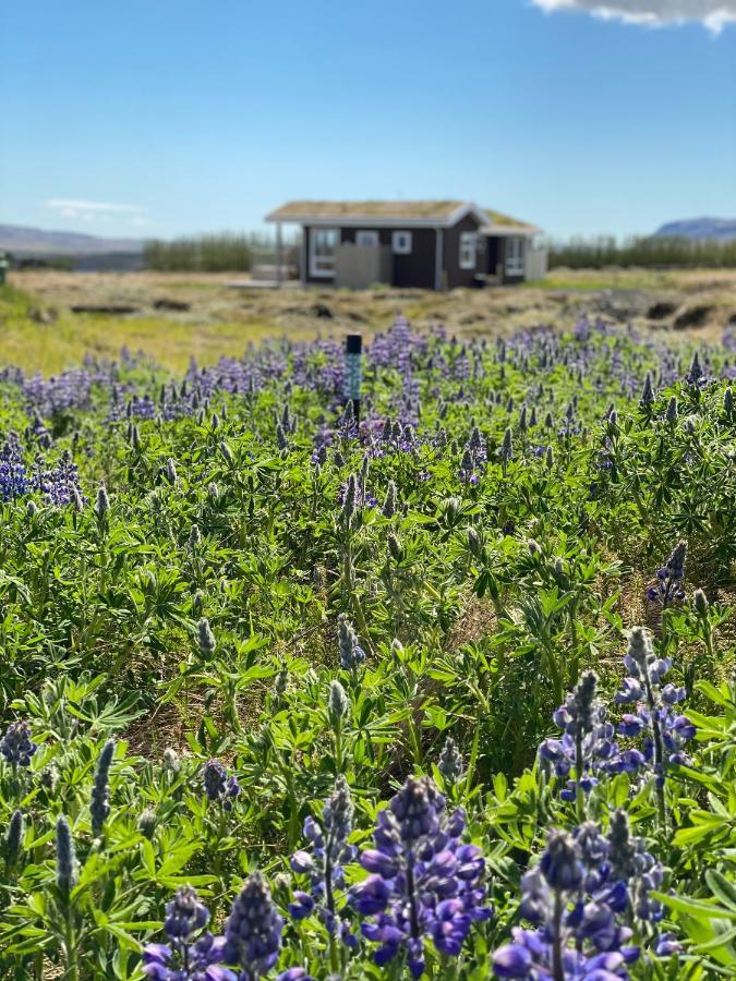 Blue View Cabin 5B With Private Hot Tub Рейкхольт Экстерьер фото